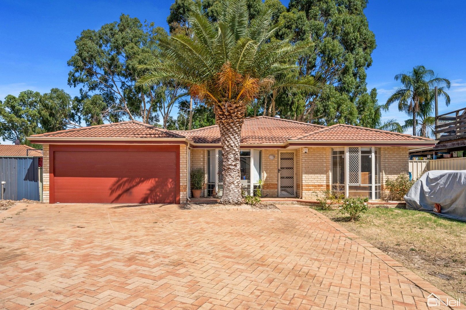 24 Haynes Court, Armadale WA 6112, Image 0