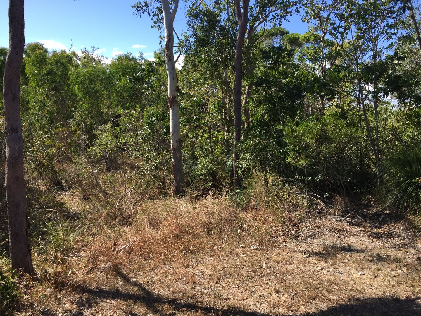 Lot 9 Bridgewater Estate, Laguna Quays QLD 4800, Image 2