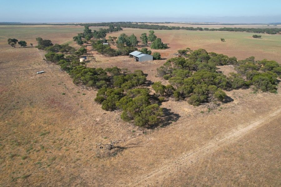 100 Mead Road, Lameroo SA 5302 House for Sale Domain