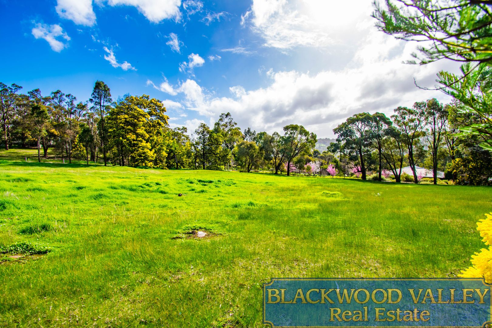 131 (Lot Proposed) Rokewood Hts, Bridgetown WA 6255, Image 2