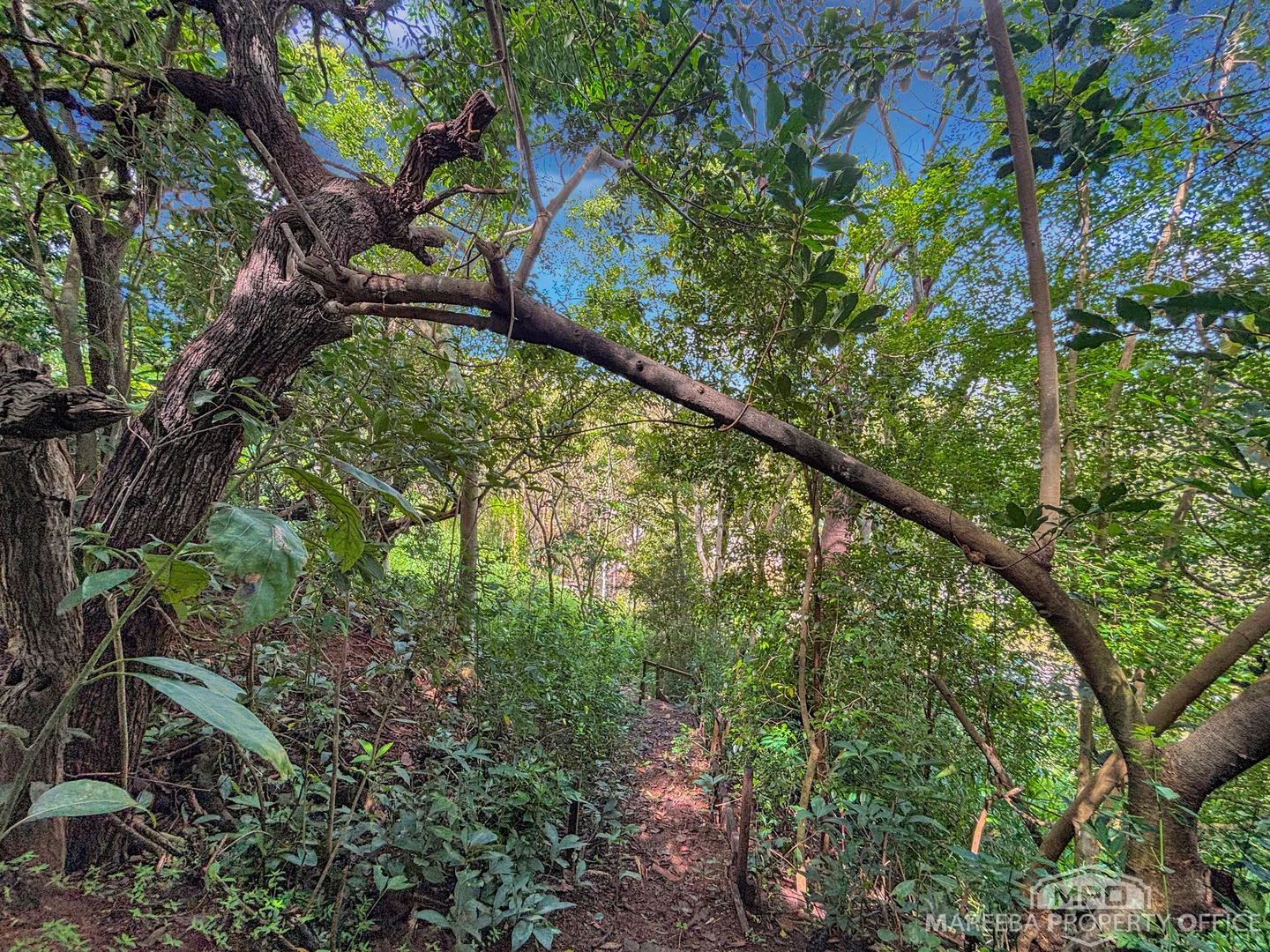 Additional image 26 of 346 Roiko Road, Mareeba QLD 4880