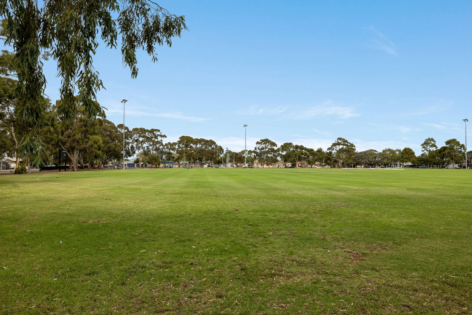 Image 22