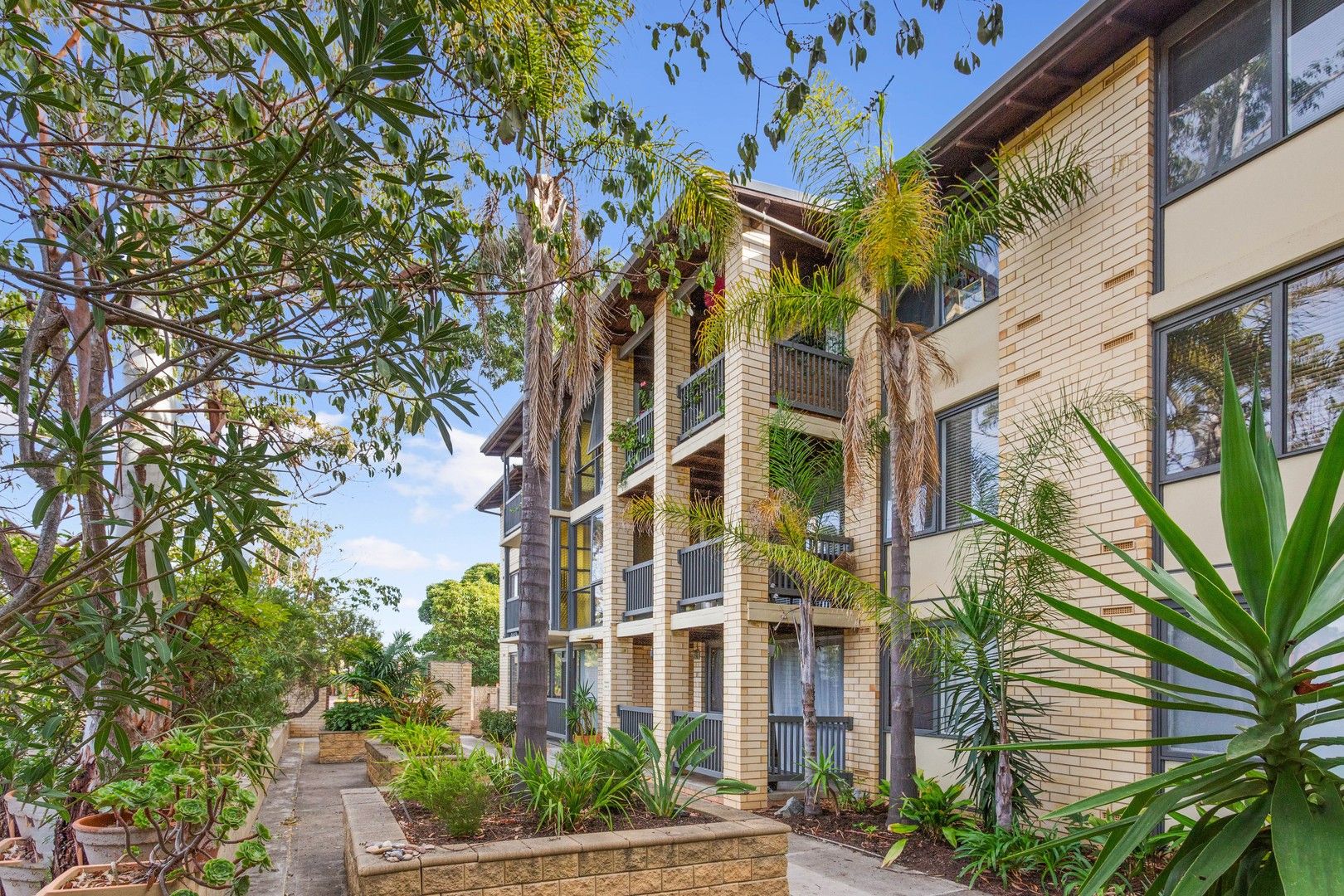 6/6 Munro Street, Glenelg North SA 5045, Image 0