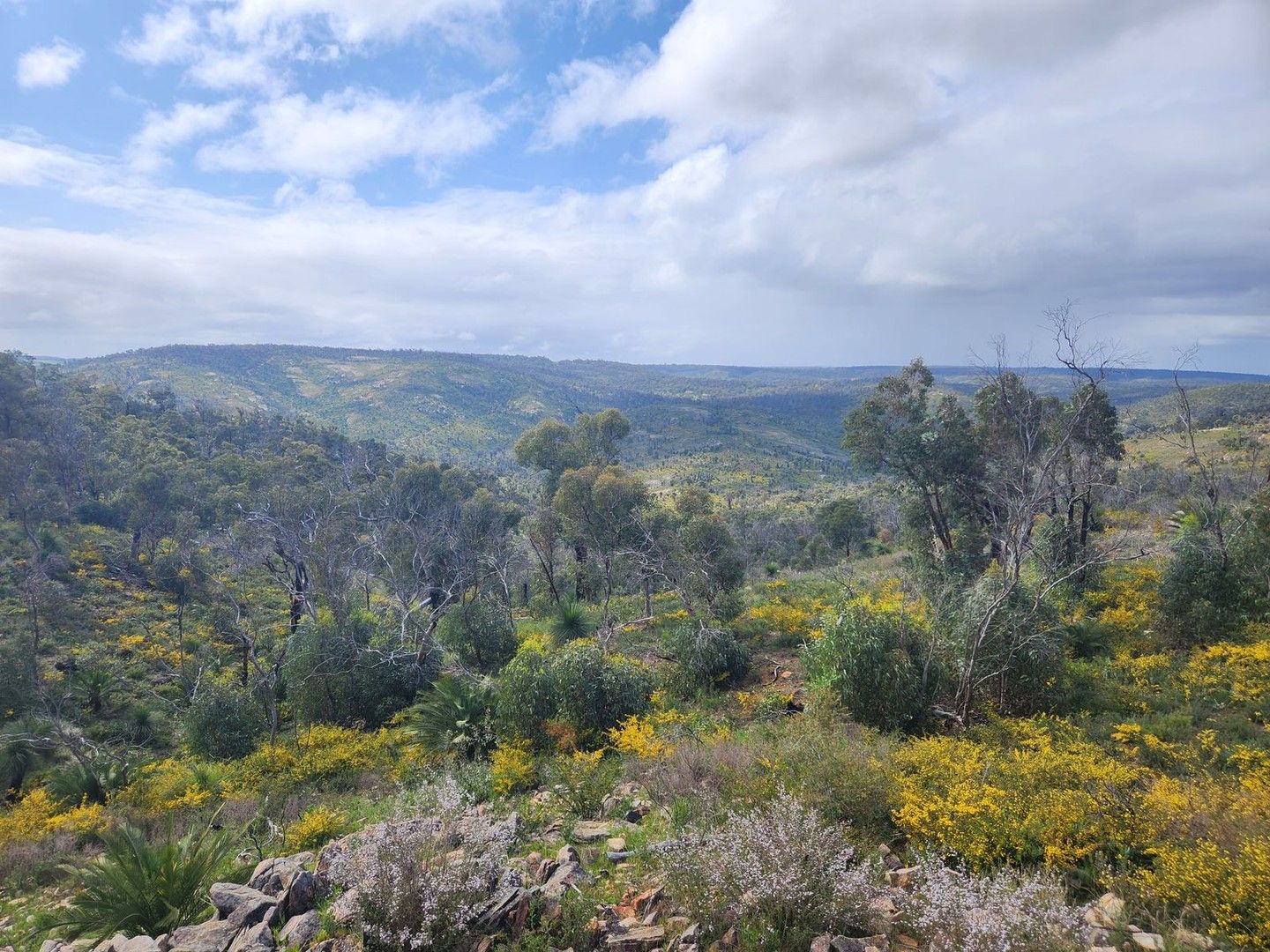 286 Eucalypt Rise, Brigadoon WA 6069, Image 0