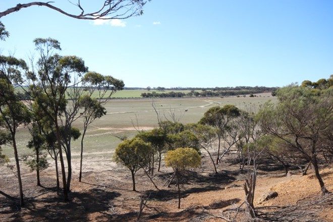 Picture of Lot 13 Kulin-Dudinin Road, DUDININ WA 6363