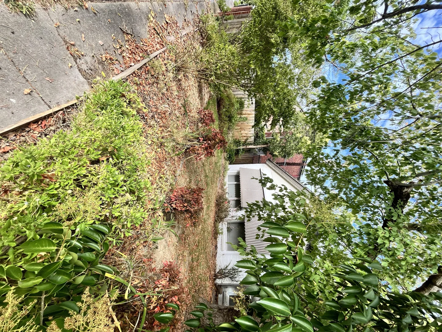 Additional image 5 of 35 Terry Street, Deepdene VIC 3103