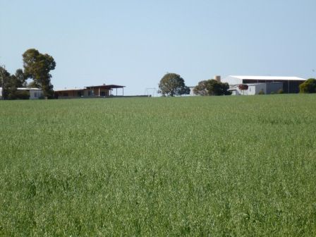 - Boundary Road, Kukerin WA 6352, Image 0