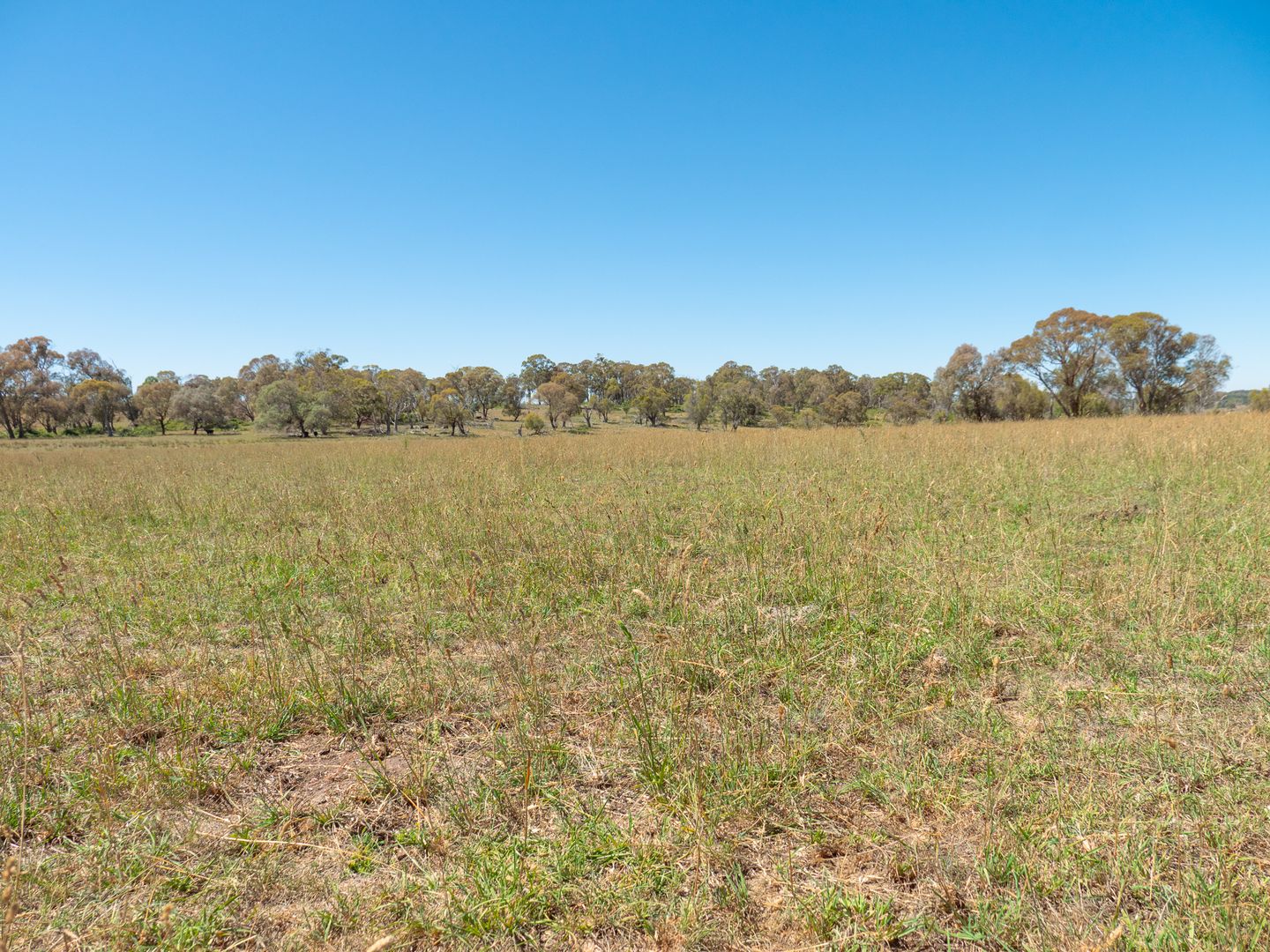 5736 New England Highway, Llangothlin NSW 2365, Image 1