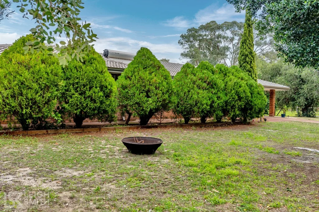 Image 19