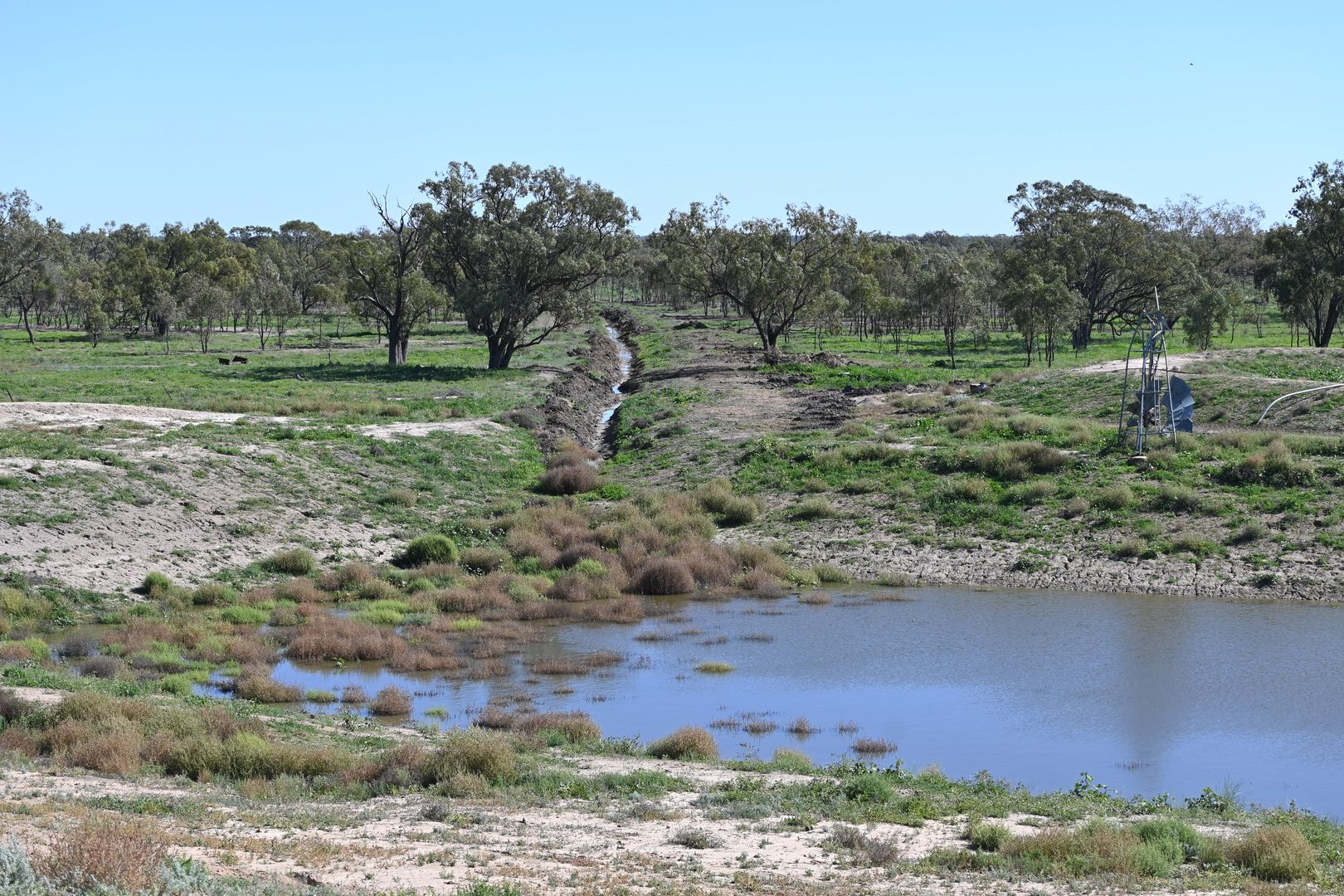 Off Sandy Camp Road, Quambone NSW 2831 House for Sale