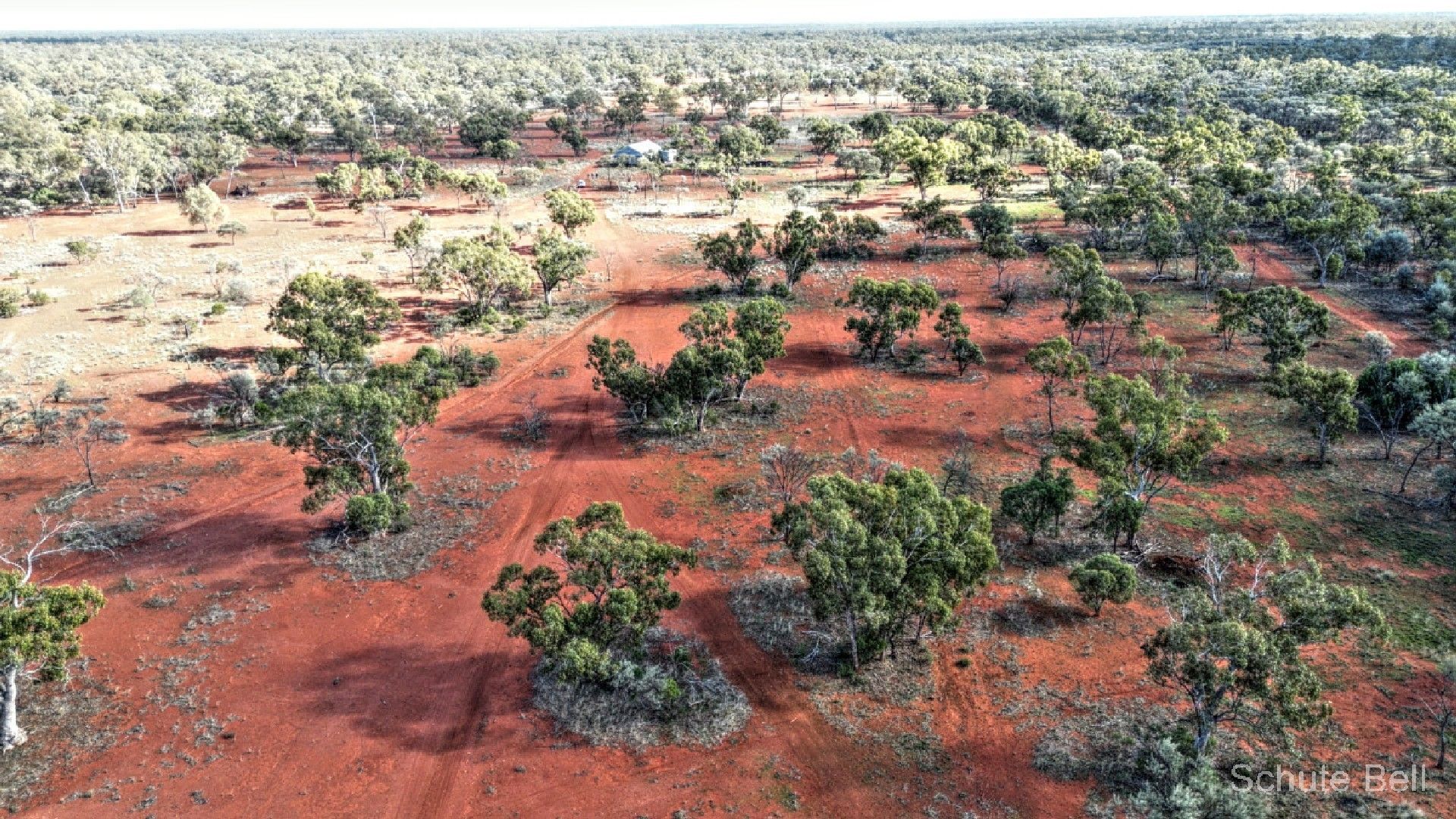 Louth NSW 2840 House for Sale Domain