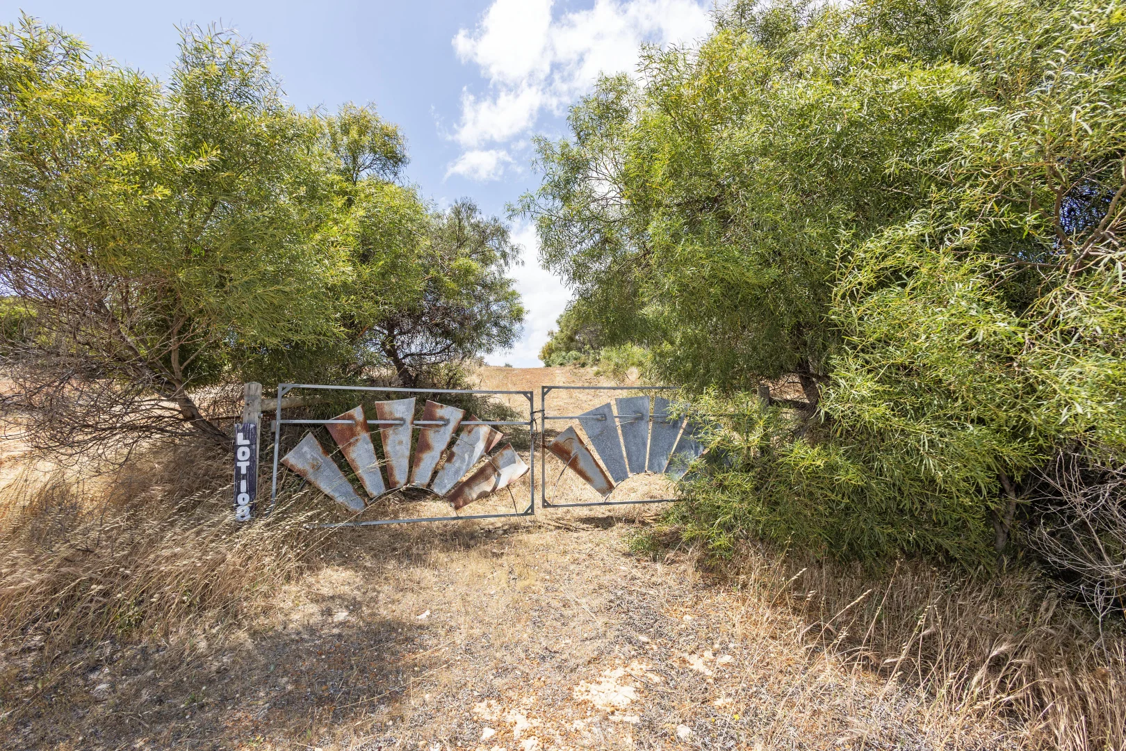 Image 5