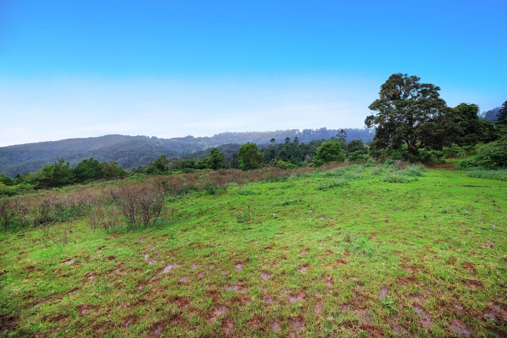 5254 The Shelf Road, Tamborine Mountain QLD 4272 Vacant Land for Sale