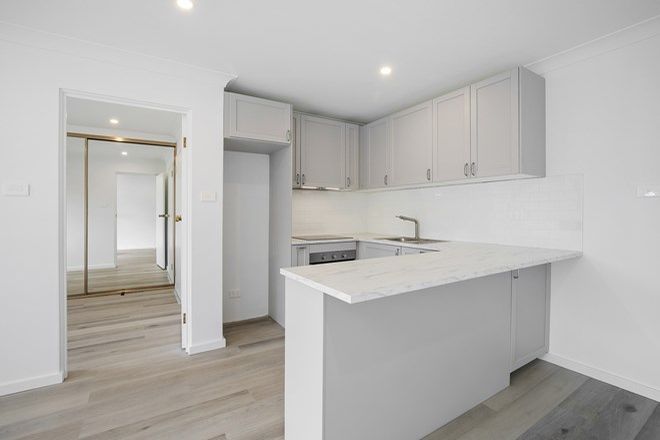168 Rental Properties In Narrabeen Nsw 2101 Domain