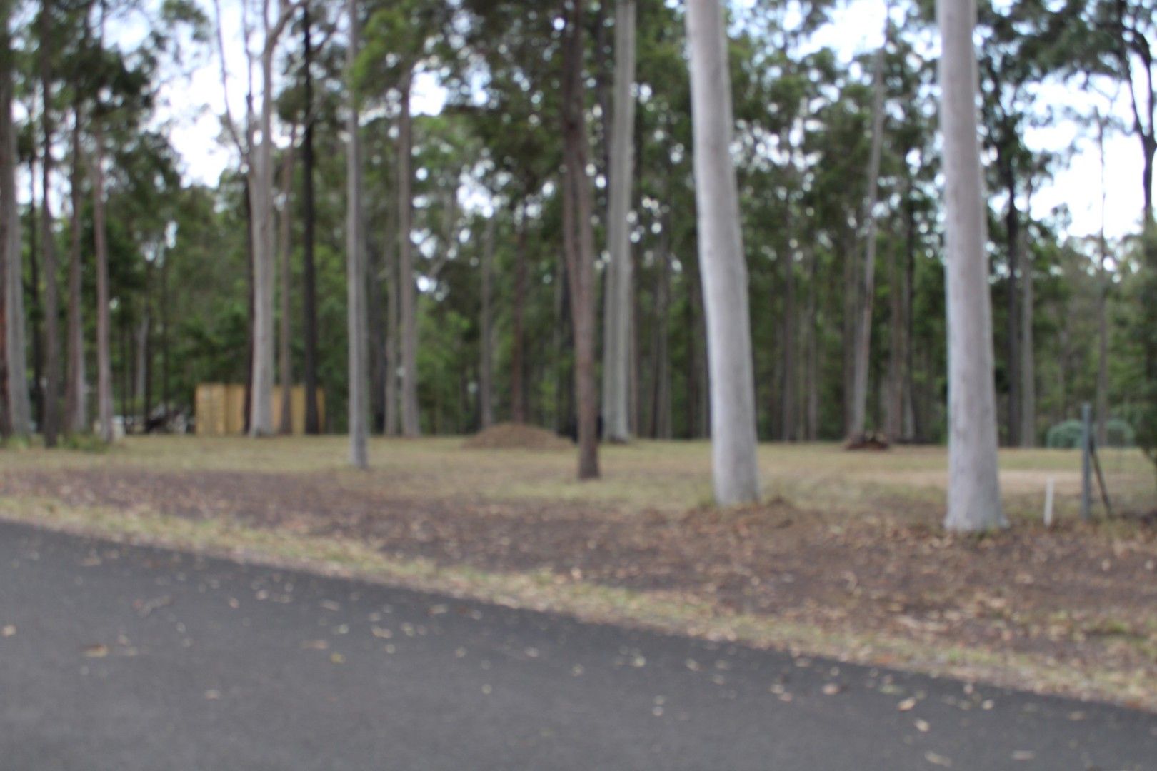 Vacant land in Lot 439 Arborten Road, GLENWOOD QLD, 4570