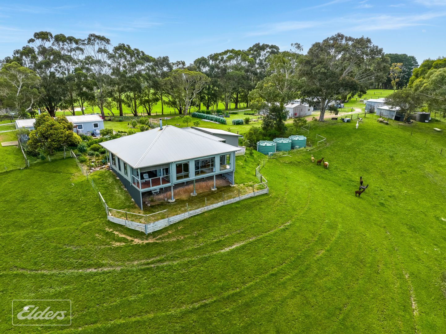 78 Blackmore Road, Paris Creek SA 5201, Image 2