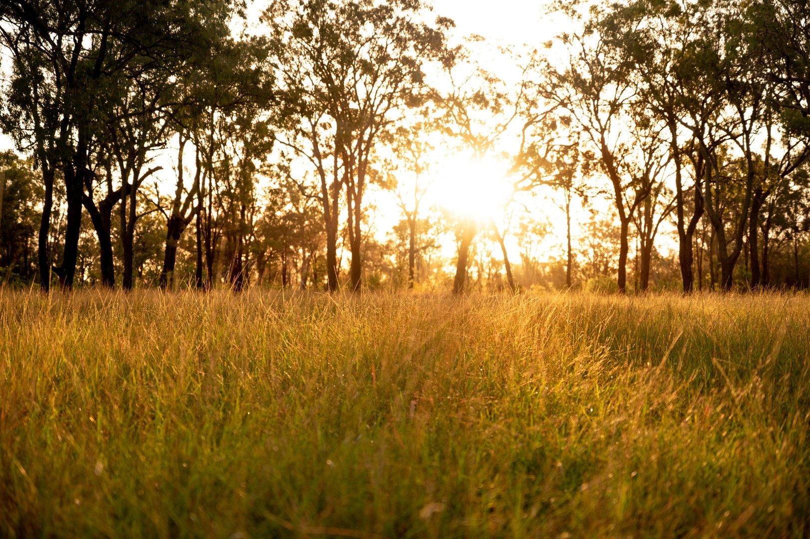 169 Big Hill Road, Pratten QLD 4370 | Domain