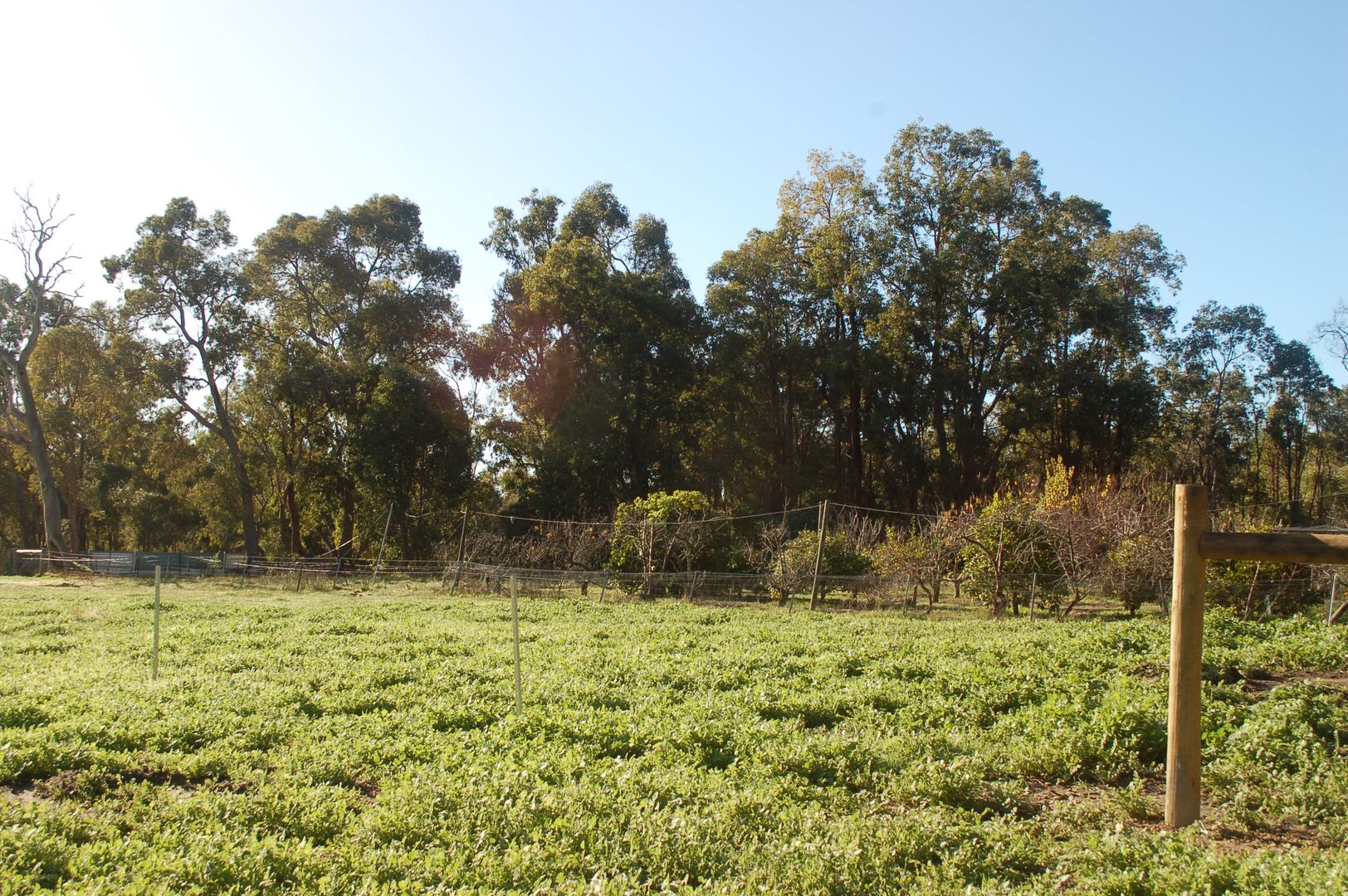 Lot 70,   665 Lockwood Road, Beechina WA 6556, Image 2