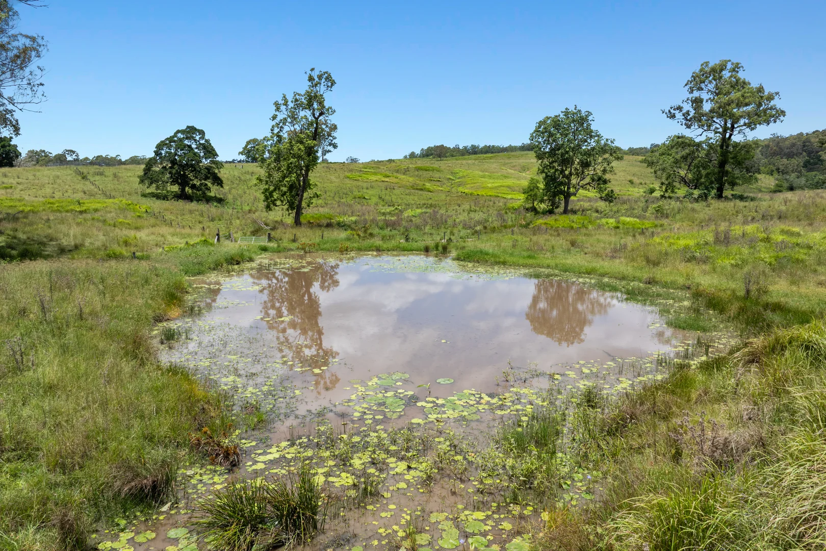 Image 14