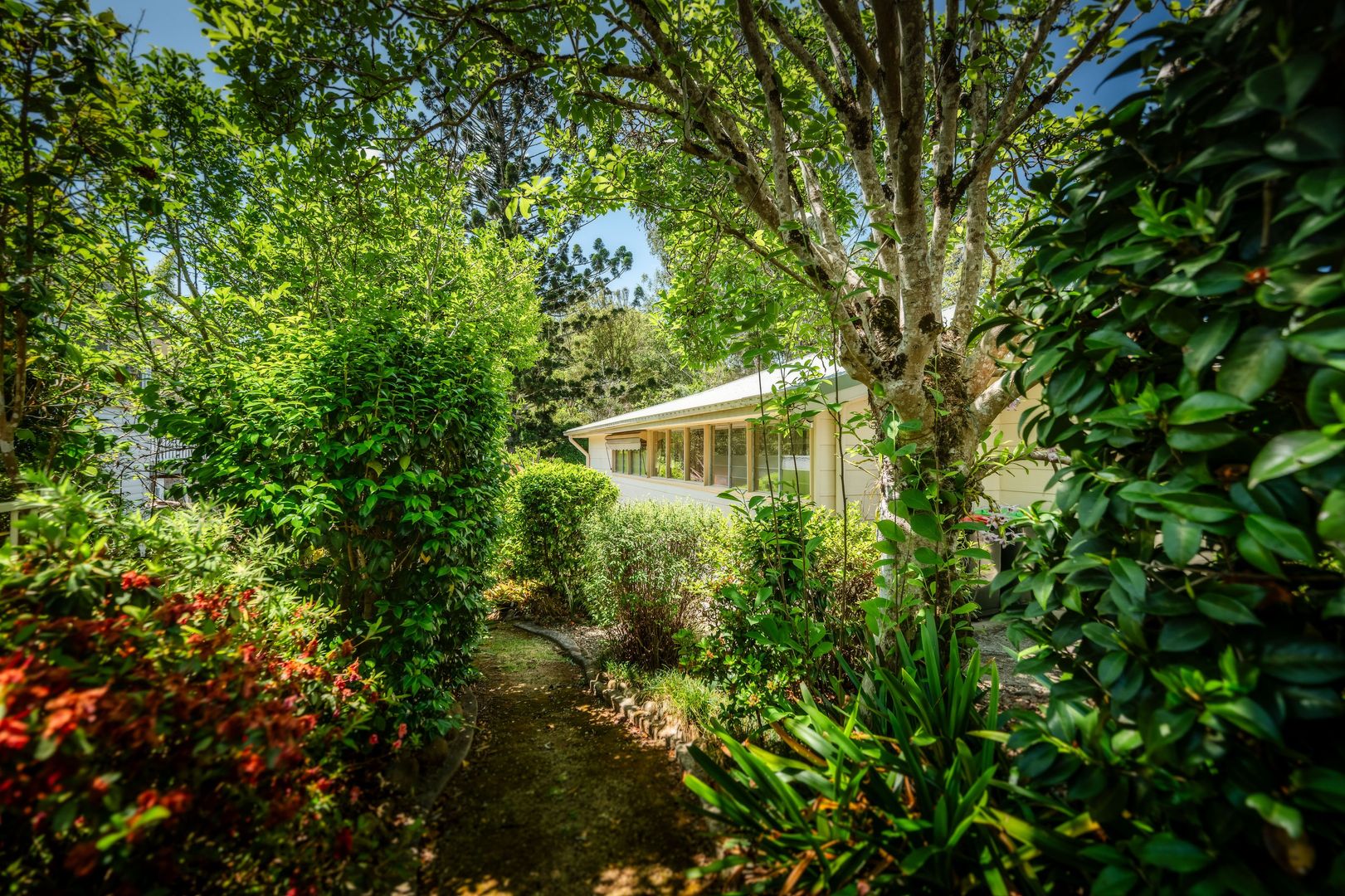 5 Park Street, Bellingen NSW 2454, Image 1