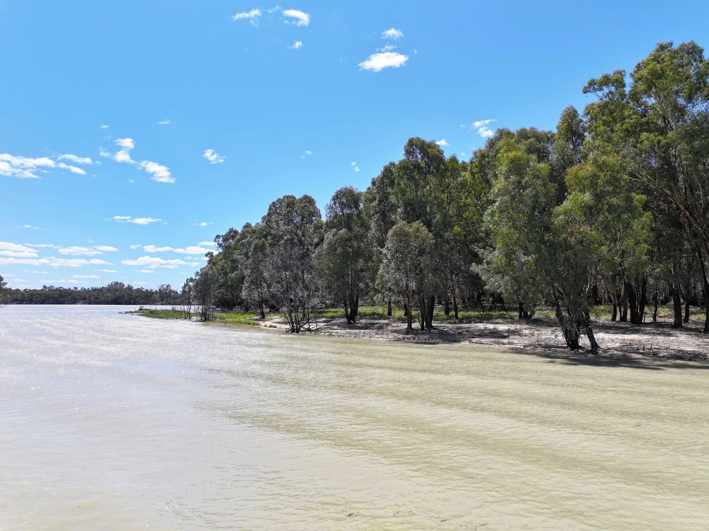 Additional image 10 of Lot 14 Renmark Road, Wentworth NSW 2648