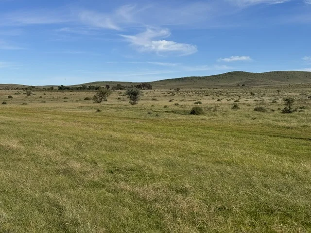 Image 24