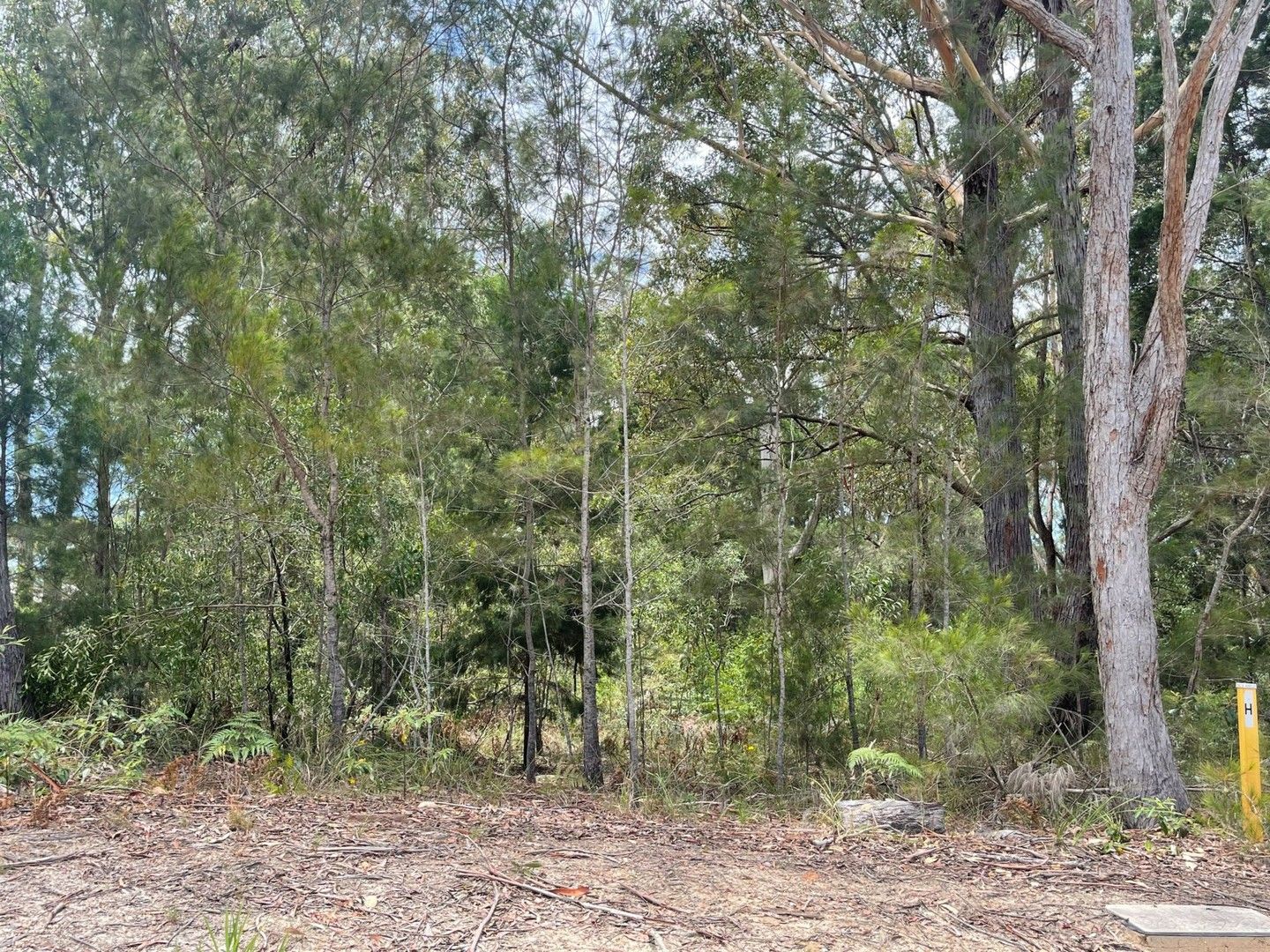 Vacant land in 3 Catamaran Street, RUSSELL ISLAND QLD, 4184