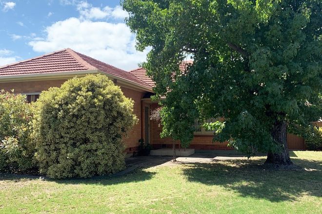 Picture of 55 Clifton Street, CAMDEN PARK SA 5038