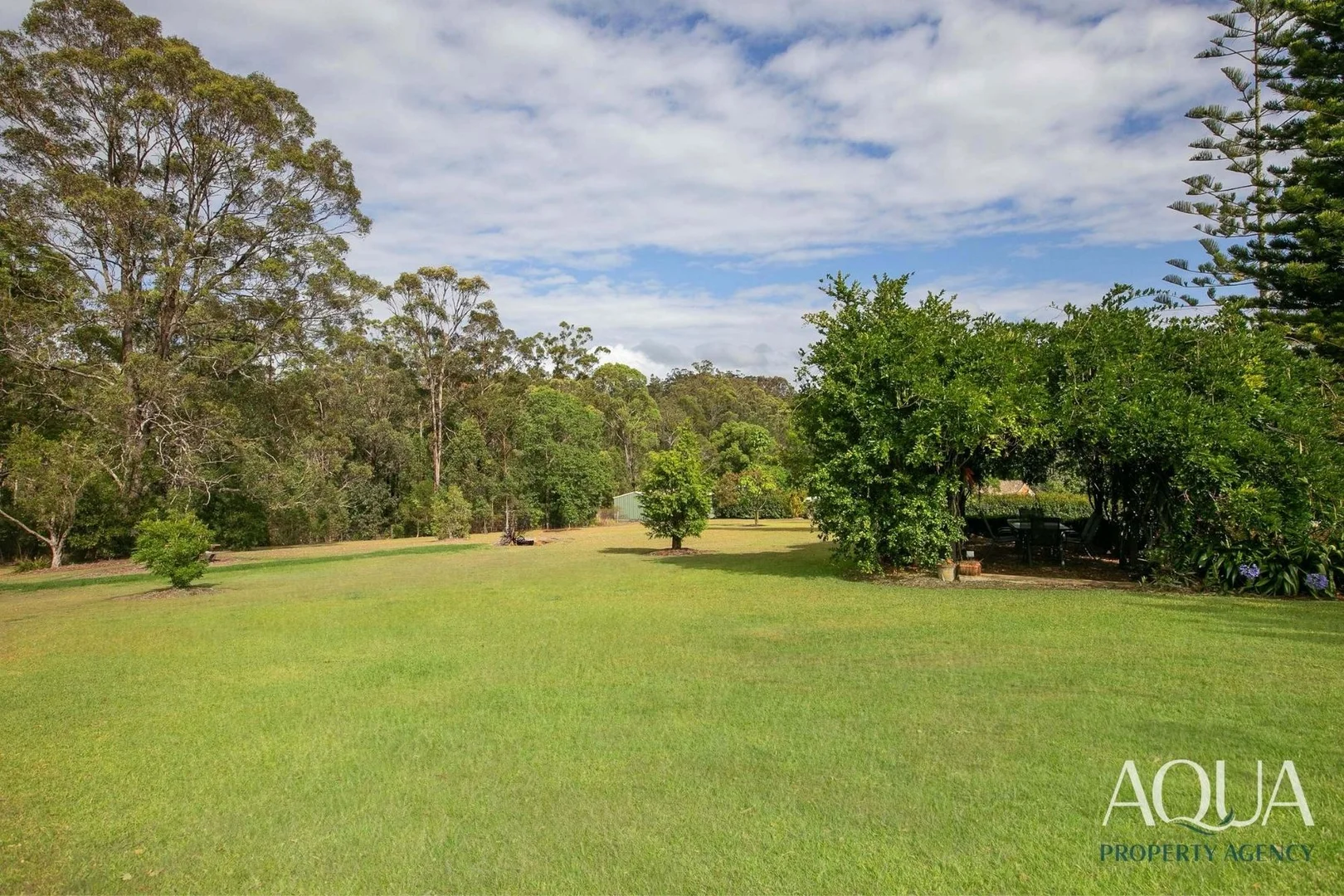 Image 25