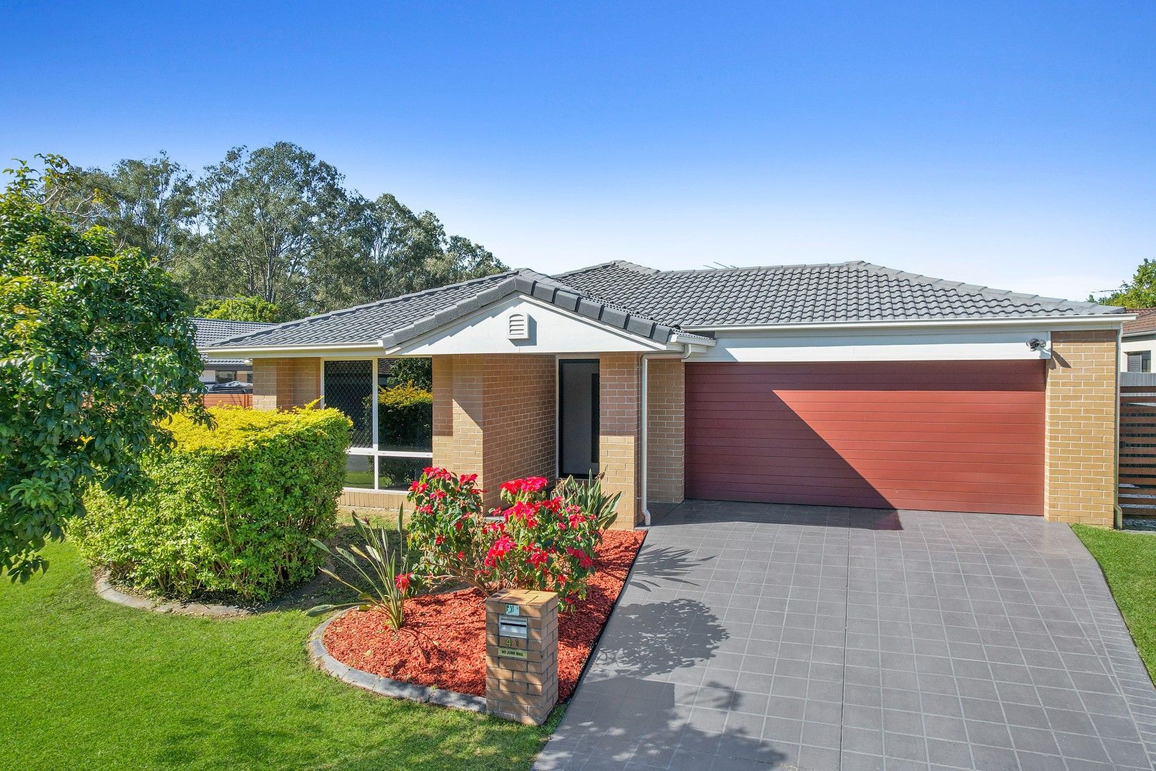 41 Macaranga Crescent, Carseldine QLD 4034, Image 0