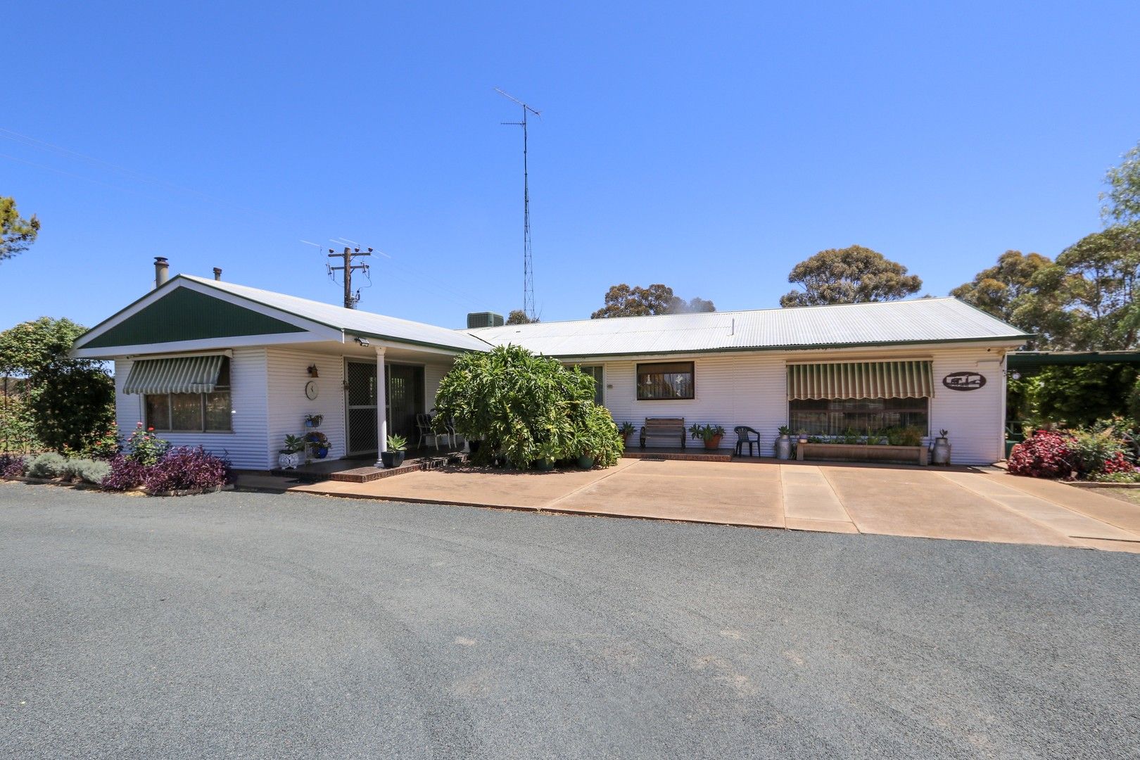 197 Ungarie Road, West Wyalong NSW 2671, Image 0