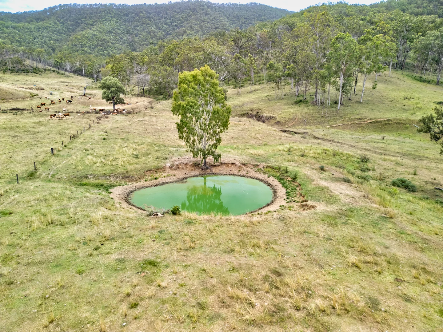 Additional image 28 of 1706 ESK CROWS NEST RD, Biarra QLD 4313