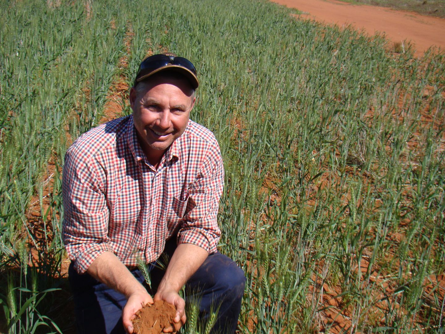 Combined Lots GRANDVIEW AND HARMANS FARMS, Morawa WA 6623, Image 2