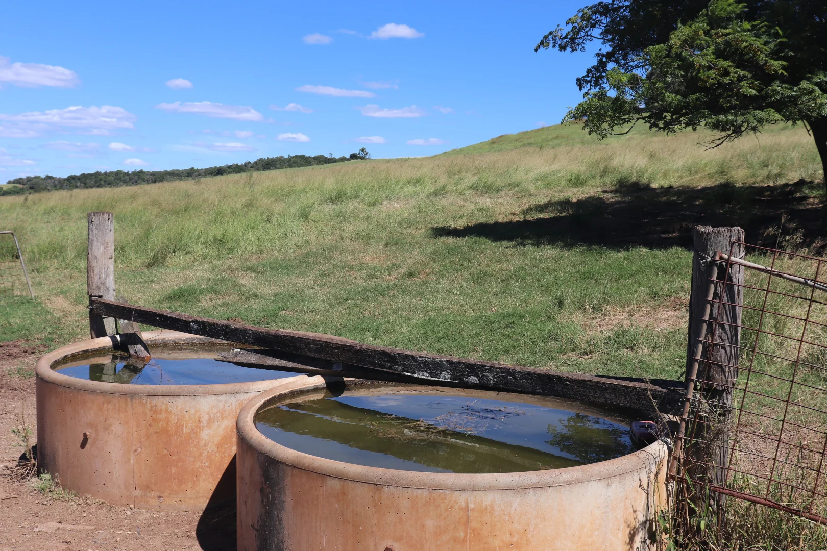 Additional image 8 of Lot 385 Hoffmanns Road, Wondai QLD 4606