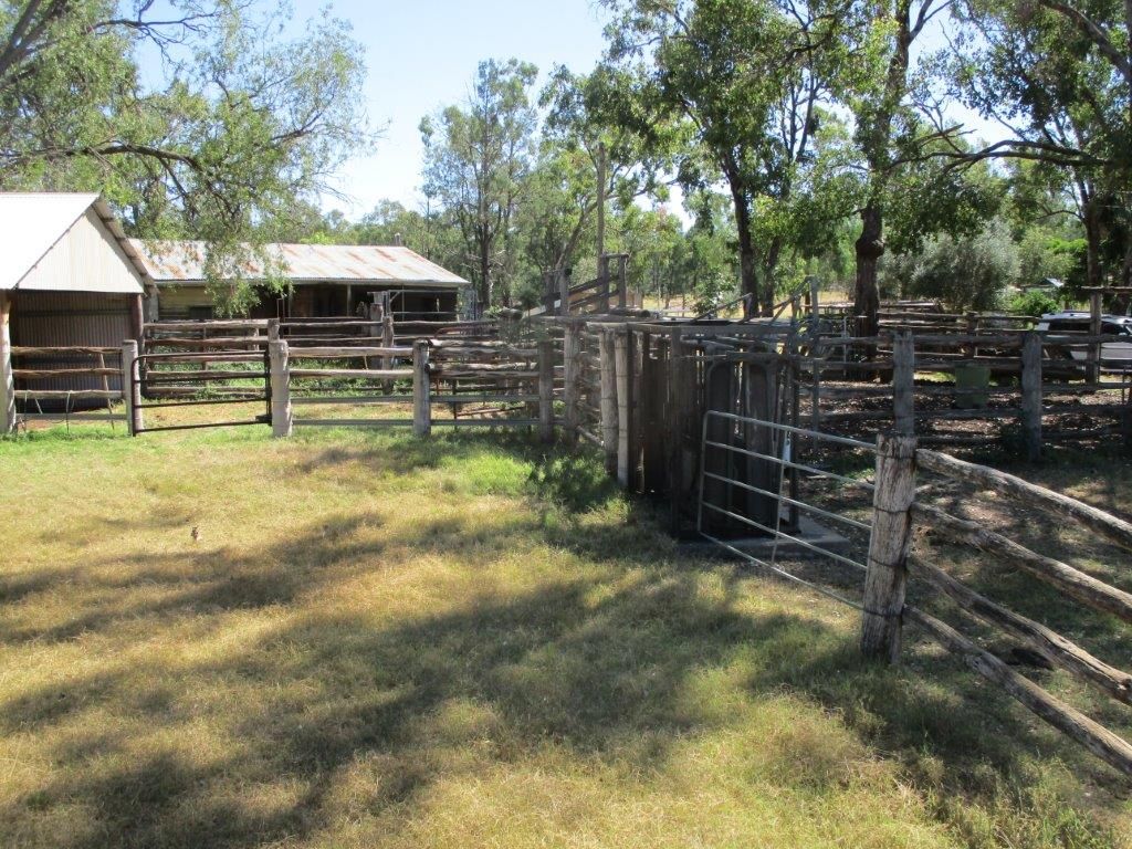 2519 ACRES GRAZING PROPERTY, Dulacca QLD 4425, Image 1