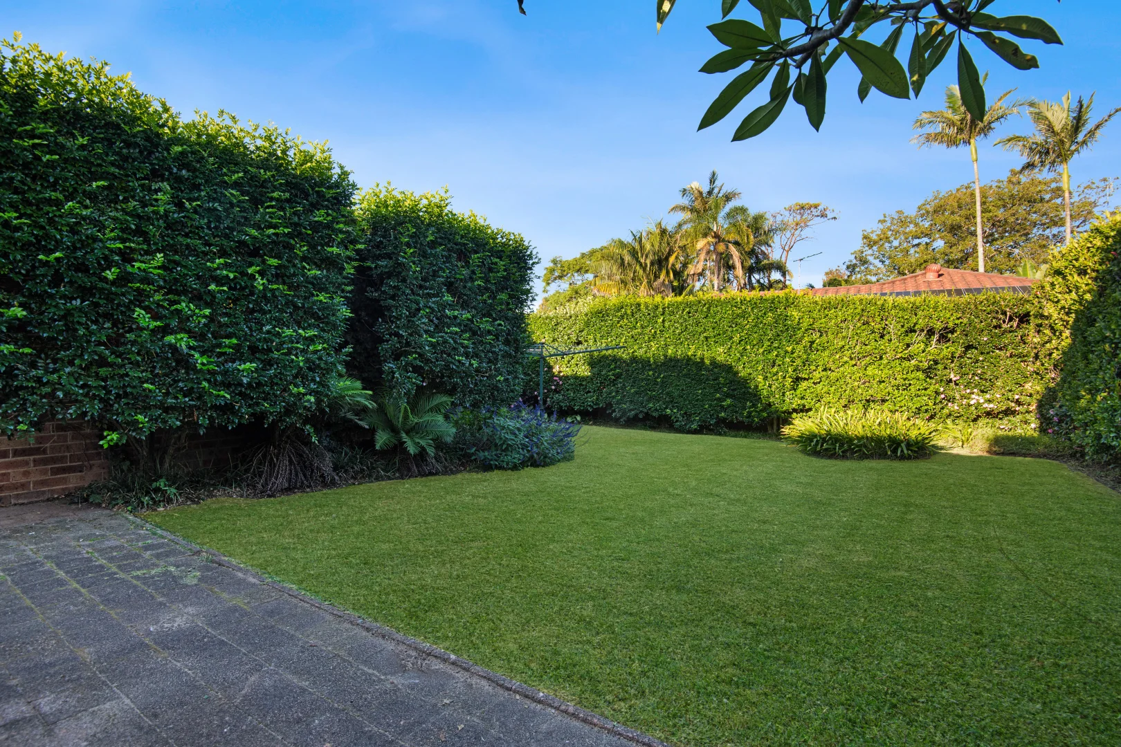 Additional image 8 of 255 Alfred Street, Cromer NSW 2099