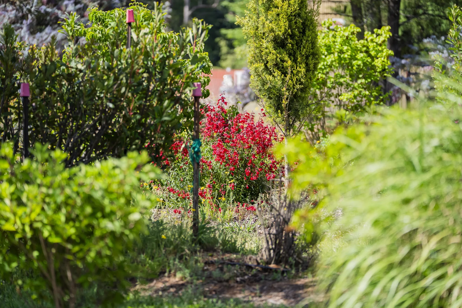 Additional image 34 of 107 Mill Road, Batlow NSW 2730