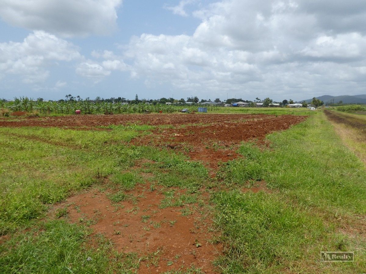 Wangan QLD 4871 Specialist Farm for Sale 600,000 Domain
