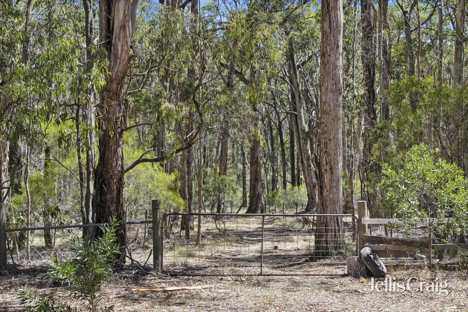 Additional image 21 of 74 Kellett Road, Woodend VIC 3442