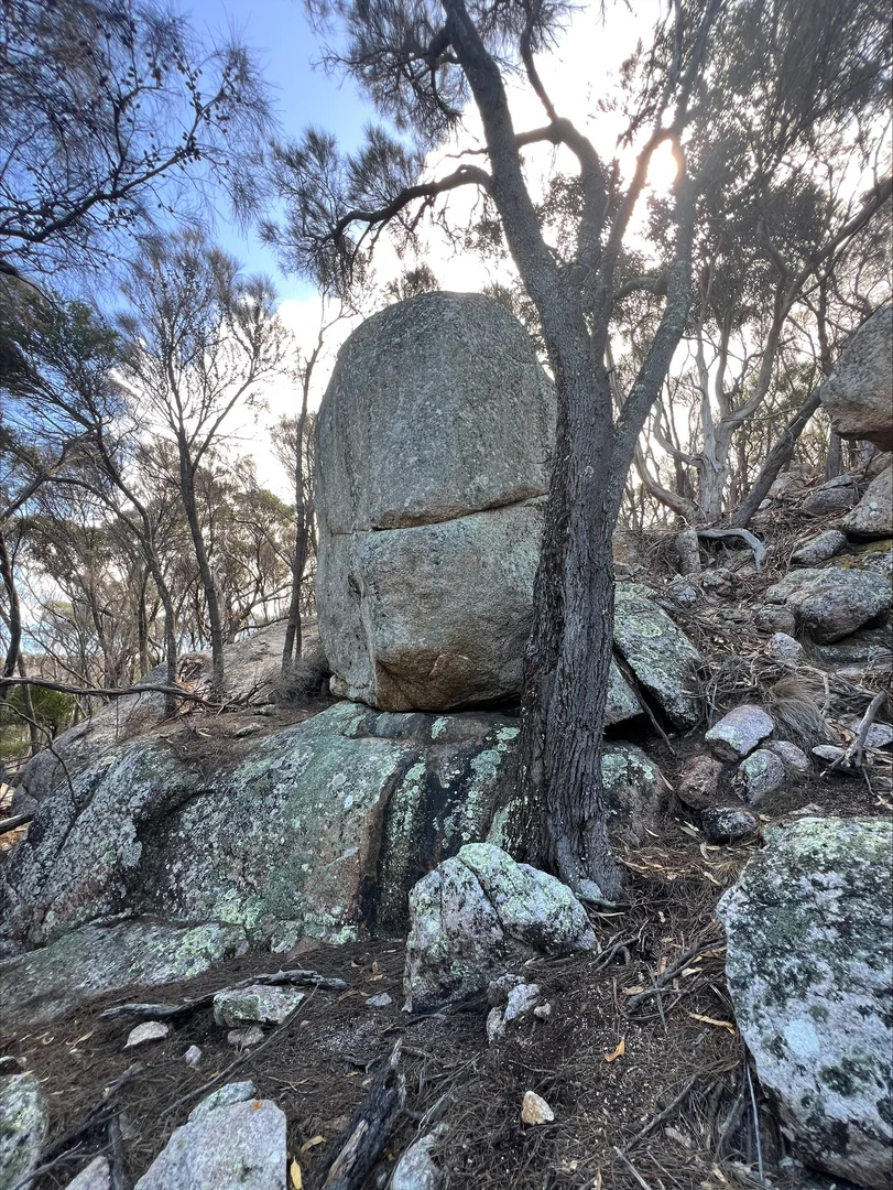 Additional image 8 of Lot 2 West End Road, Leeka TAS 7255