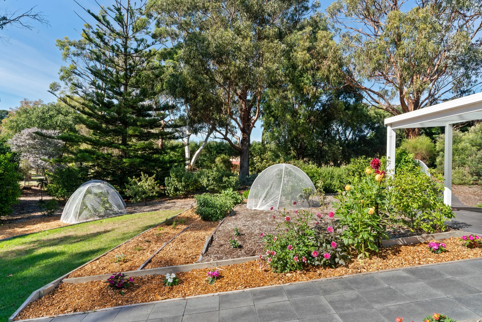 Additional image 21 of 37 Lockhart Drive, Rosebud VIC 3939