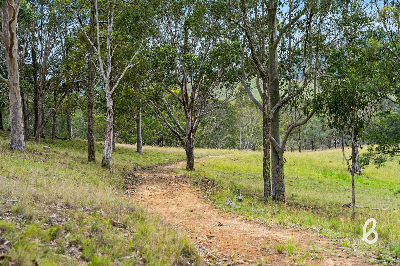 Image 18