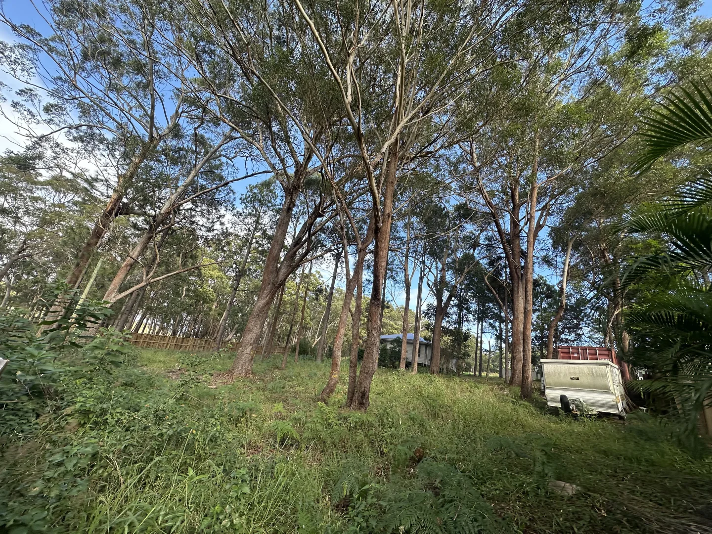 Image 8