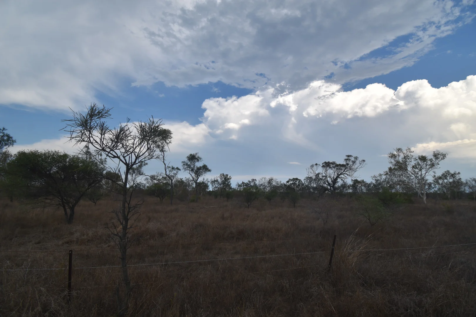 Additional image 10 of 8 Coventry Road, Guthalungra QLD 4805