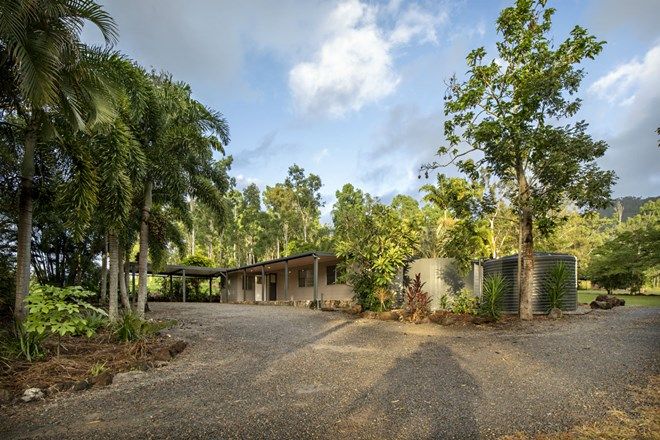 Picture of 477 Sugarloaf Road, RIORDANVALE QLD 4800