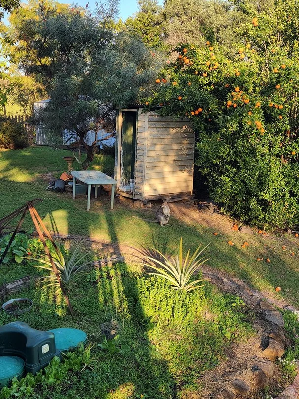 Additional image 25 of 474 Whelan Road, Bollier QLD 4570