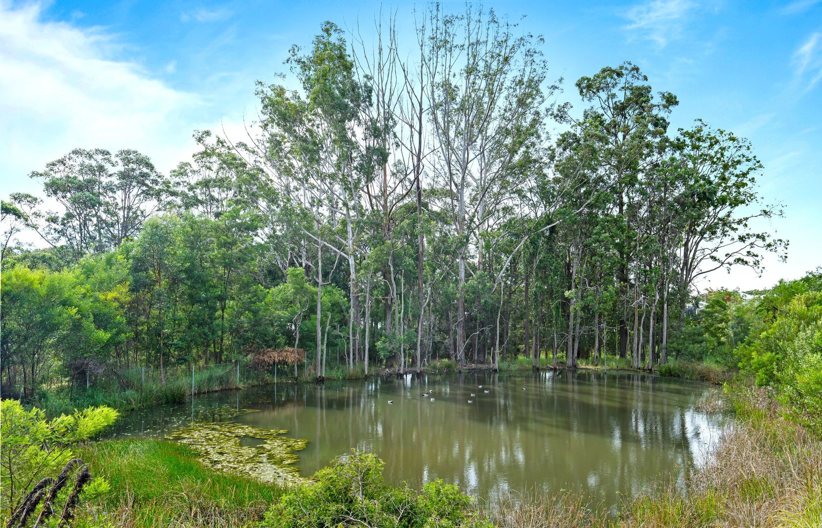 2 White Fig Drive, Glenning Valley NSW 2261, Image 2