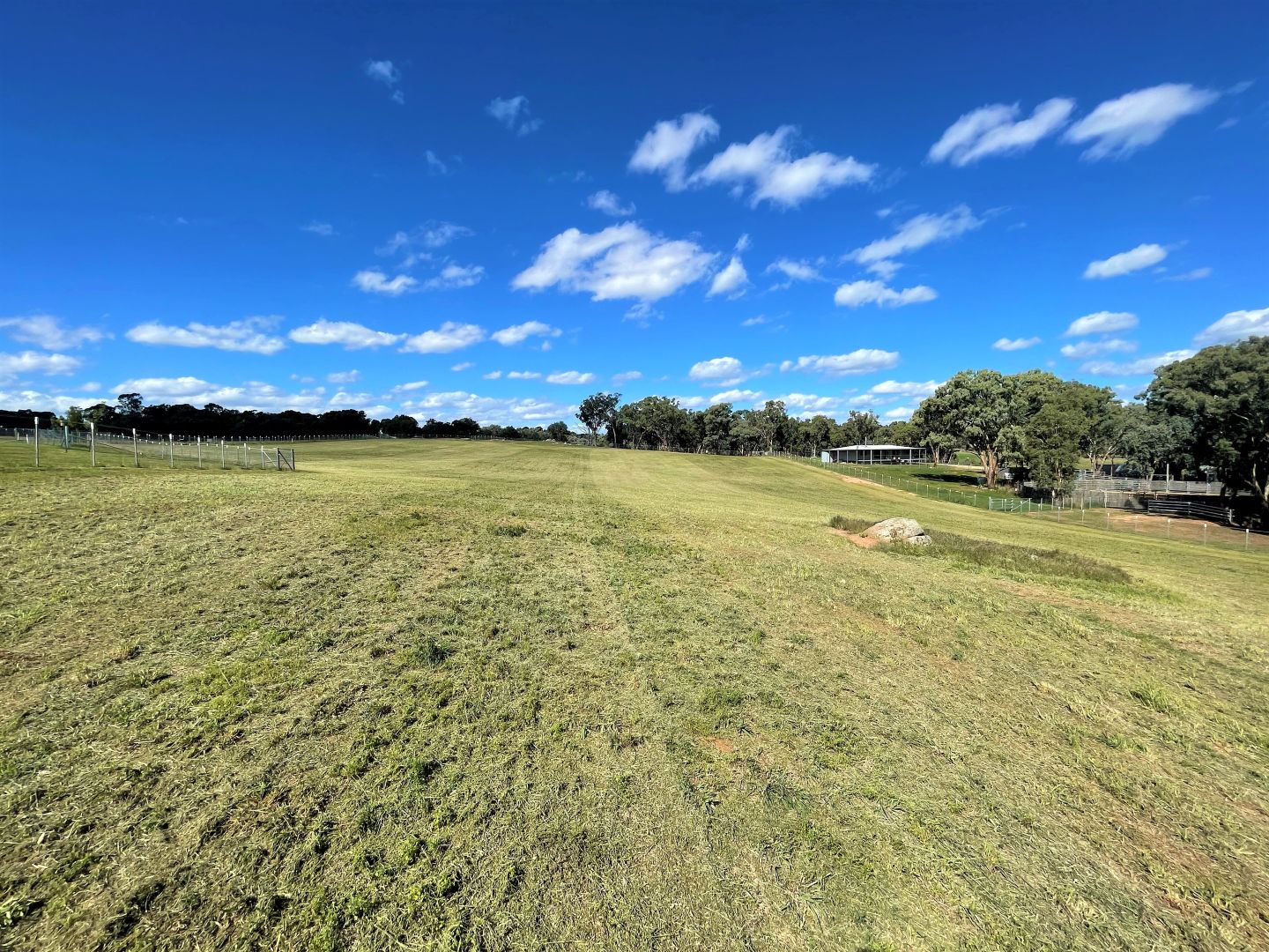 40 Mcmahons Road, Young NSW 2594