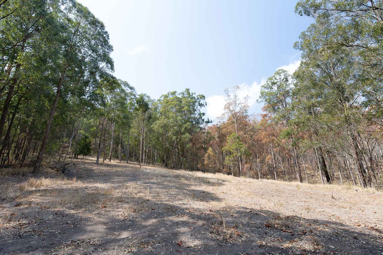 Lot 4 Vogeles Road, Martins Creek NSW 2420, Image 2