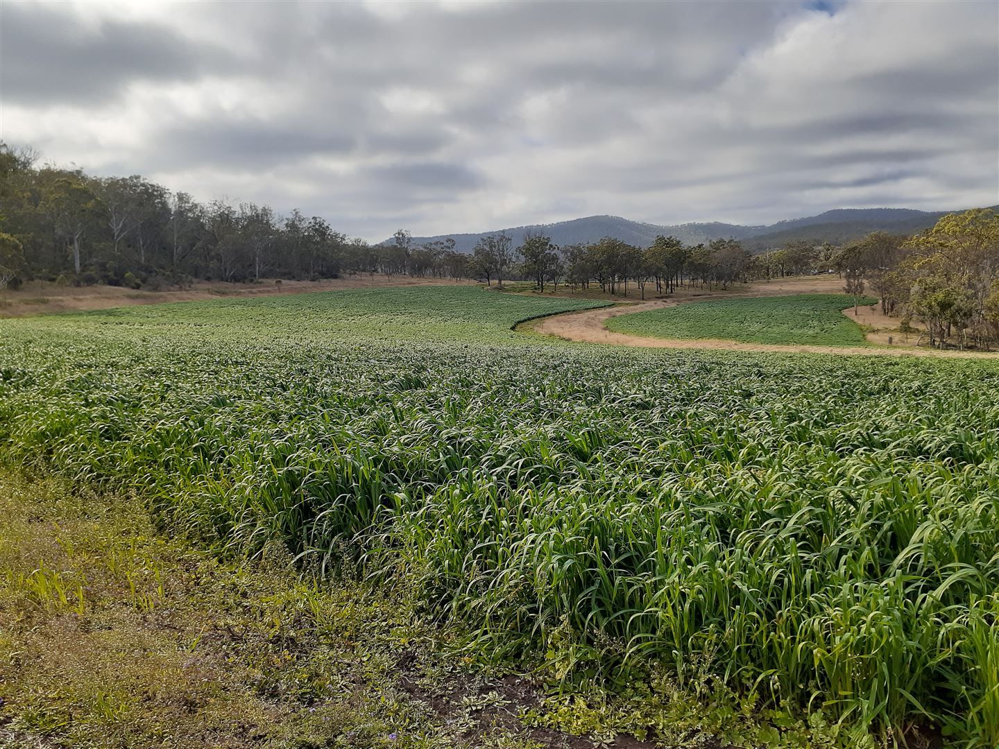 1268 Pilton Valley Road, Upper Pilton Property History & Address